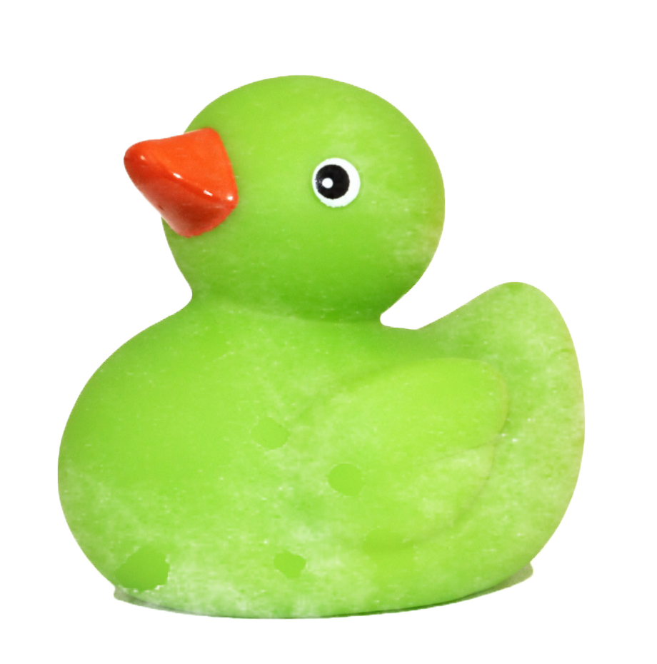 ente-gruen
